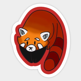 Curious Red Panda Sticker